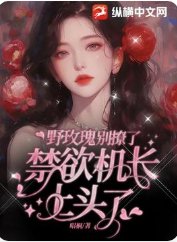 野玫瑰别撩了，禁欲机长上头了