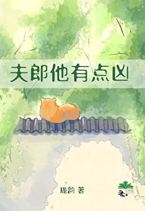 夫郎他有点凶