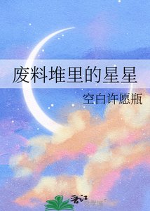 《废料堆里的星星》