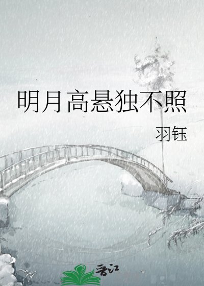 明月高悬独不照