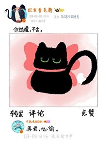 四皇箱克斯家的团宠小猫