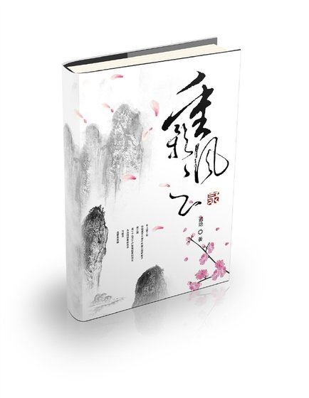 《重影风云录》