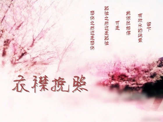衣襟挽照