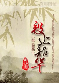 《段止韶华》